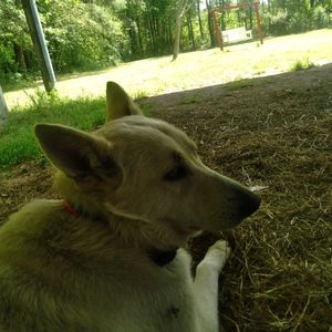 Meet your Posher, Mark